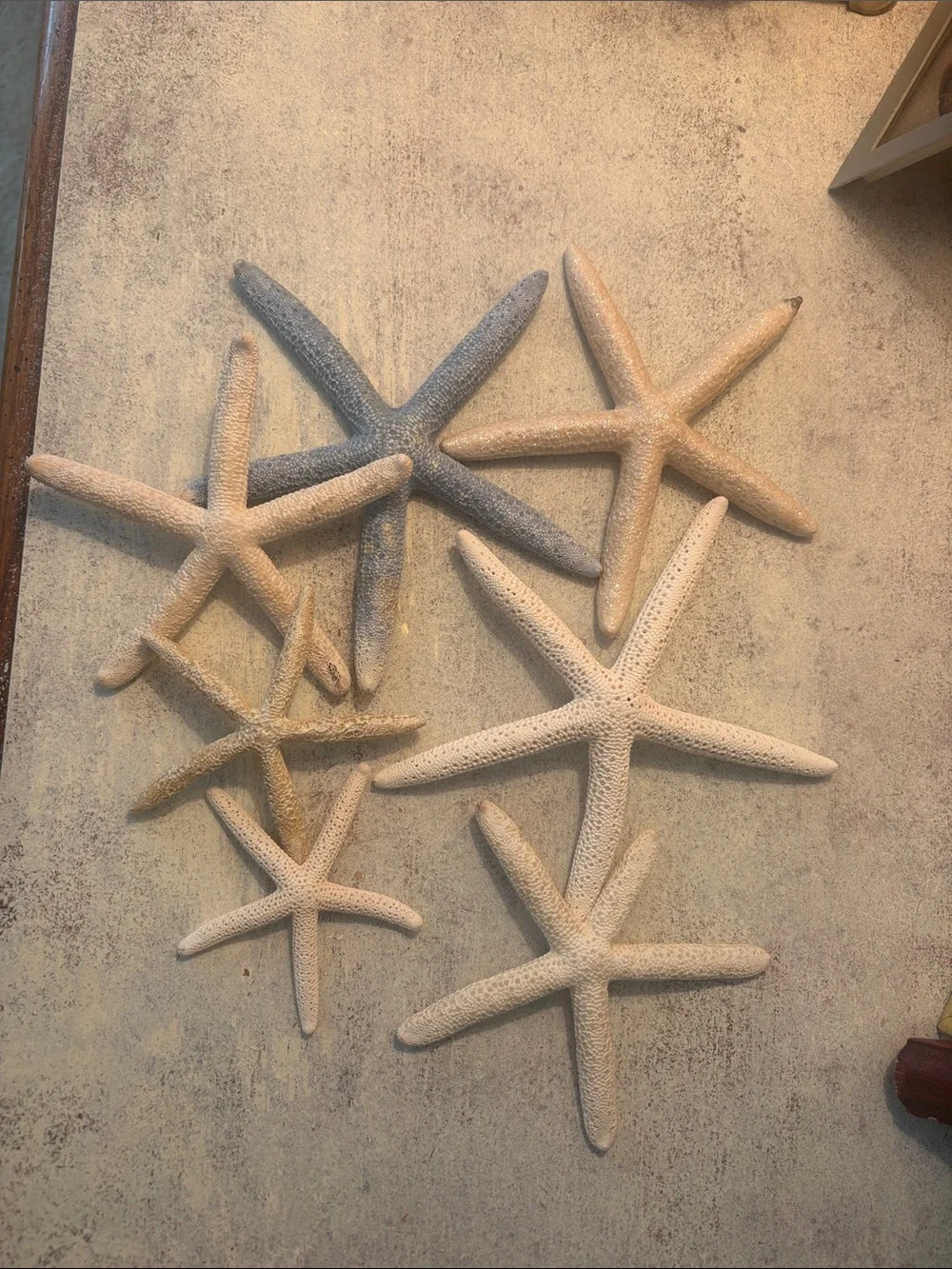 Coastal Starfish Wall Decor Set in Beige & Gray 7 in total